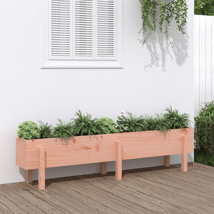 Fioriera Rialzata Giardino 160x30x38 cm Legno Massello Douglas 825196