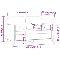 Divano a 2 Posti con Cuscini Marrone 120 cm in Velluto 3200878