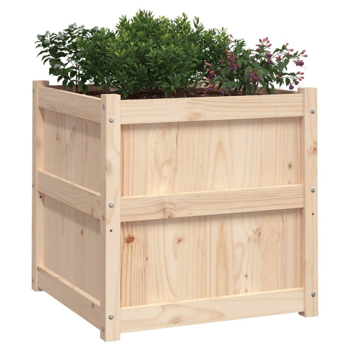 Fioriere da Giardino 2 pz in Legno Massello di Pino 837425