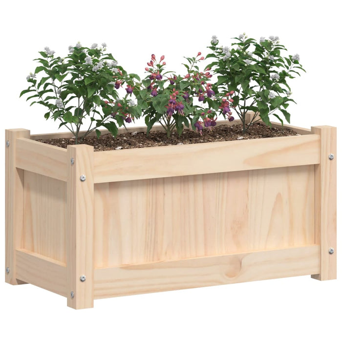 Fioriera da Giardino 60x31x31 cm in Legno Massello di Pino 837439