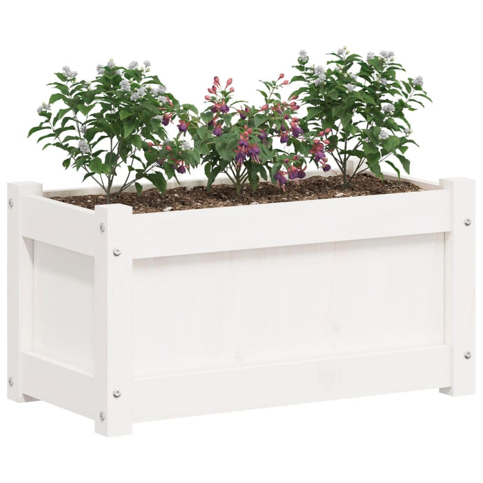 Fioriera da Giardino Bianca 60x31x31 cm Legno Massello di Pino 837441