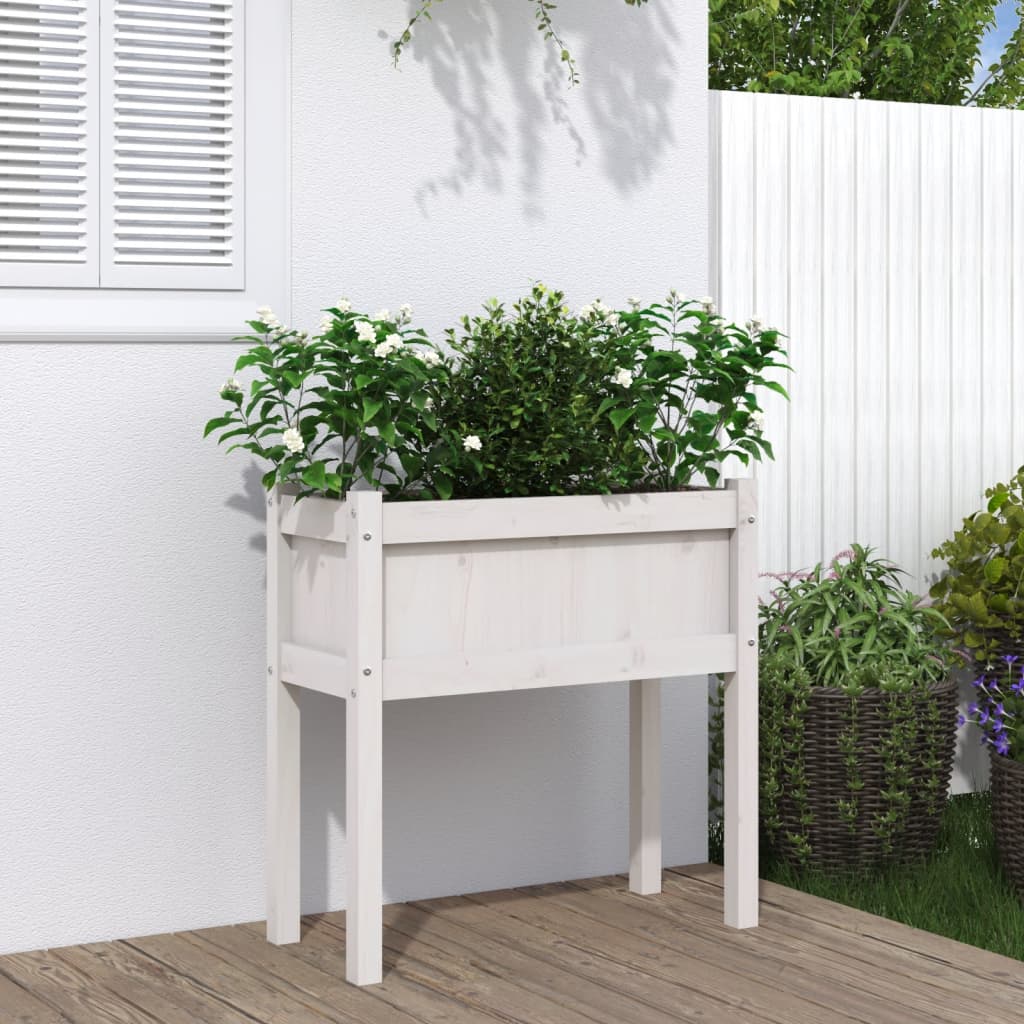 Fioriera da Giardino con Gambe Bianca 70x31x70 cm Massello Pinocod mxl 133196