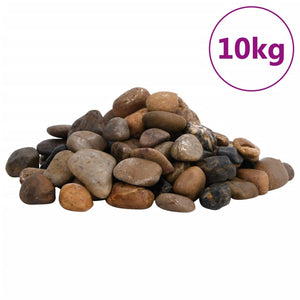 Ciottoli Levigati 10 kg Colore Misto 2-5 cm 155331