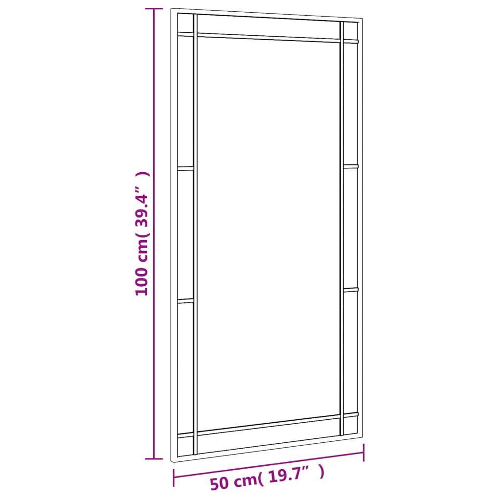 Specchio da Parete Nero 50x100 cm Rettangolare in Ferro 358630