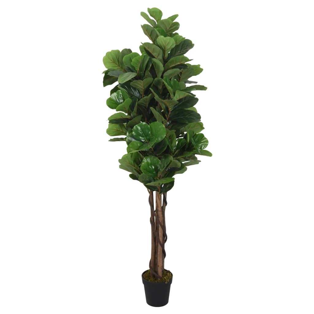 Albero Ficus Lyrata 96 Foglie 80 cm Verde 359011