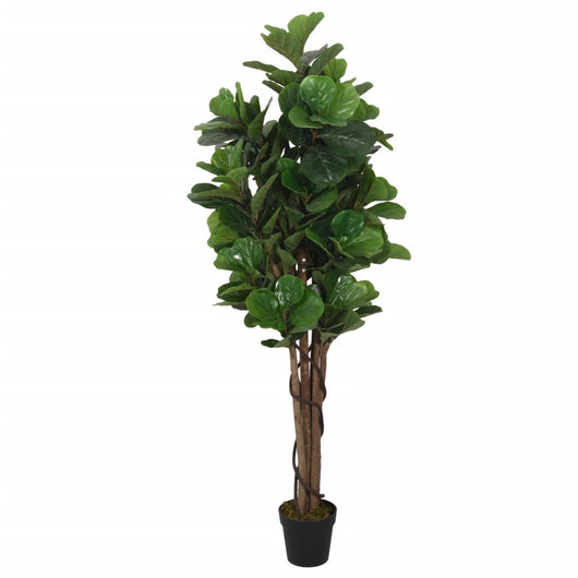 Albero Ficus Lyrata 96 Foglie 80 cm Verde 359011