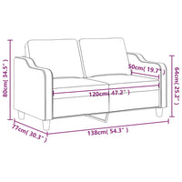 Divano a 2 Posti Grigio Scuro 120 cm in Tessuto 359352