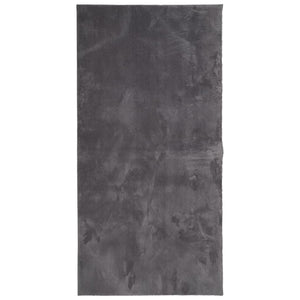 Tappeto a Pelo Corto Morbido e Lavabile Antracite 100x200 cm 374998