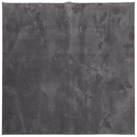 Tappeto Pelo Corto HUARTE Morbido Lavabile Antracite 160x160 cm 375002