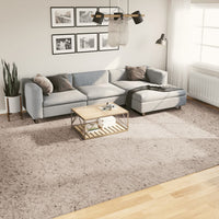 Tappeto Shaggy a Pelo Lungo Moderno Beige 300x400 cm 375220