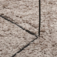 Tappeto Shaggy a Pelo Lungo Moderno Beige Ø 160 cm 375224