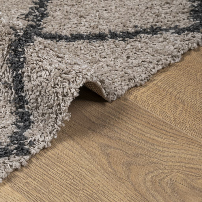 Tappeto Shaggy PAMPLONA a Pelo Lungo Beige e Antracite 60x110cm 375382