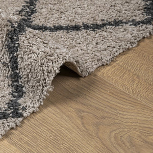 Tappeto Shaggy a Pelo Lungo Moderno Beige e Antracite 80x200 cm 375384