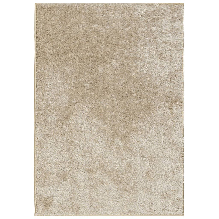 Tappeto Pelo Lungo Effetto Lucido Beige 120x170 cm 375652