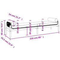 Panca da Giardino con Cuscino Grigia in Polyrattan e Acacia 366300