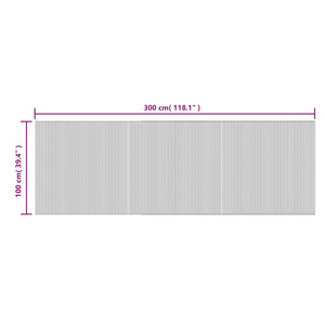 Tappeto Rettangolare Naturale 100x300 cm in Bambù 376811