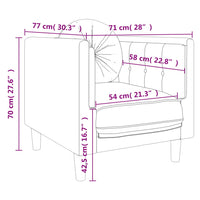 Poltrona con Cuscino Grigio Scuro in Velluto 372623