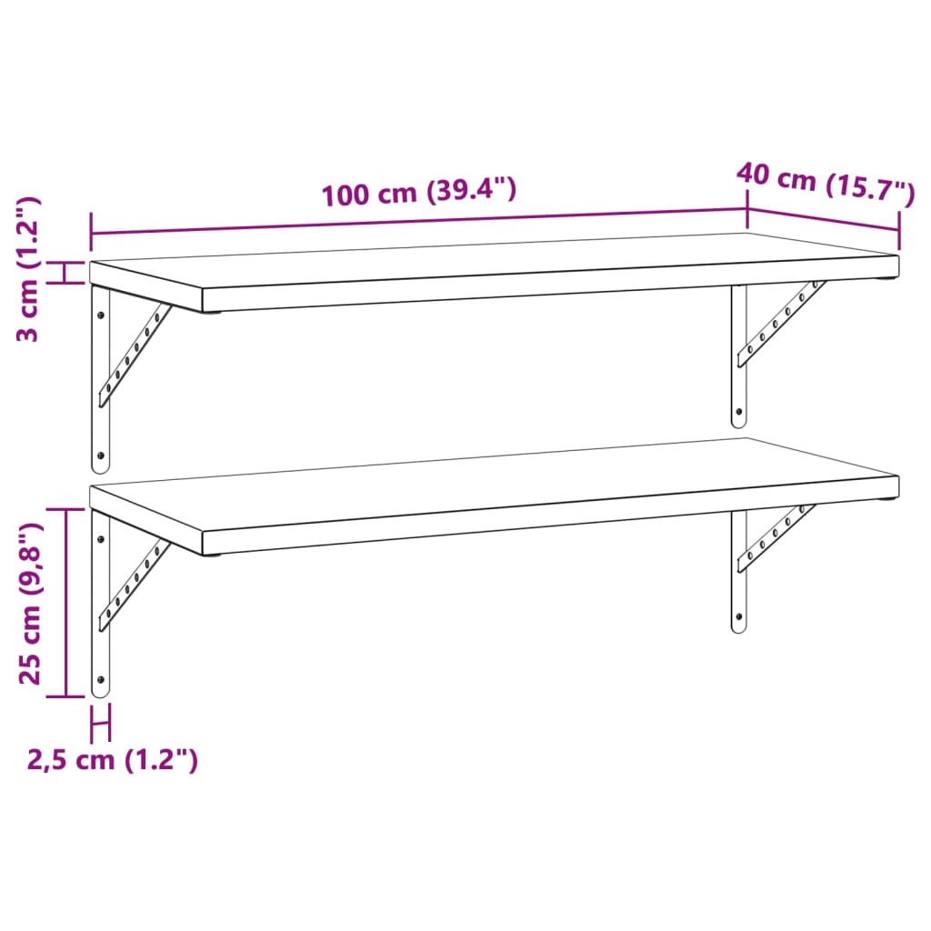 Mensole a Muro 2 pz 100x40 cm Argento in Acciaio Inossidabile 3214502