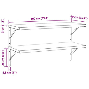 Mensole a Muro 2 pz 100x40 cm Argento in Acciaio Inossidabile 3214502