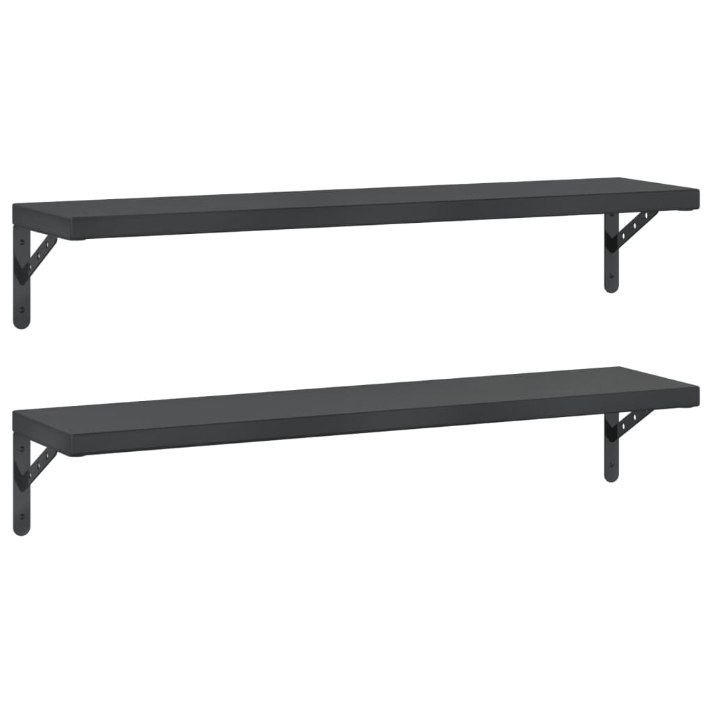 Mensole a Muro 2 pz 100x23,5 cm Nero in Acciaio Inossidabile 3214513