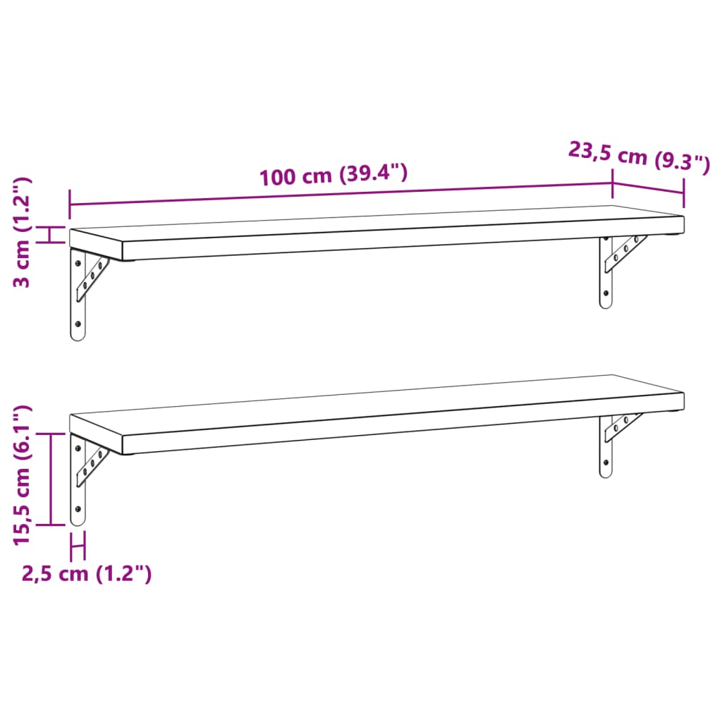 Mensole a Muro 2 pz 100x23,5 cm Nero in Acciaio Inossidabile 3214513