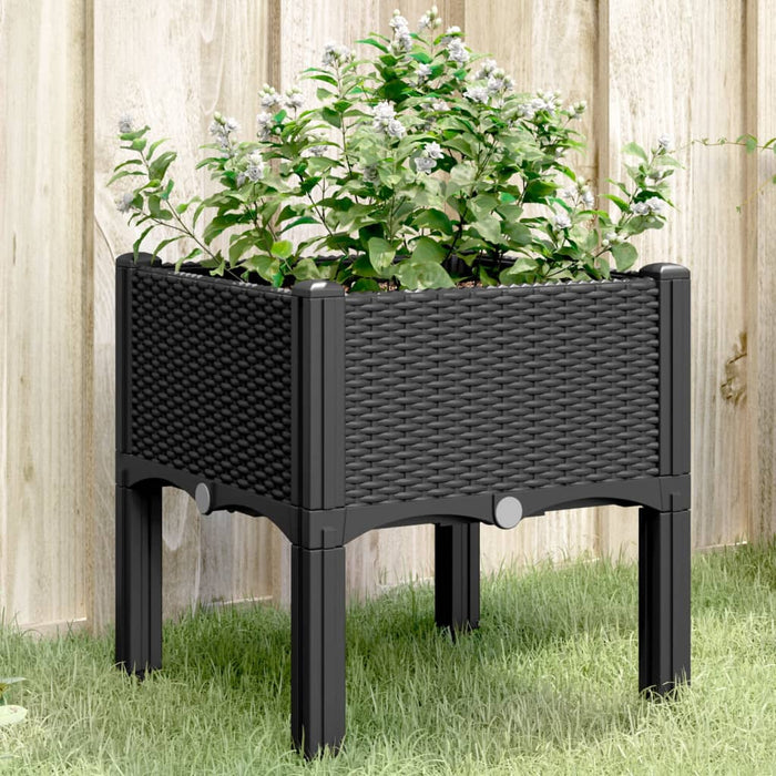 Fioriera da Giardino con Gambe Nera 40x40x42 cm in PP 367888