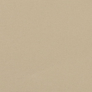 Tenda da Sole Laterale Retrattile Beige 120x300 cm 4004285