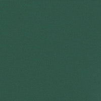 Tenda da Sole Laterale Retrattile Verde Scuro 140x300 cm 4004305