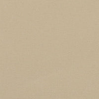 Tenda da Sole Laterale Retrattile Beige 100x600 cm 4004585