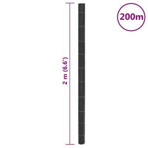 Membrana Antierbacce Nera 2x200 m in PP 4005163