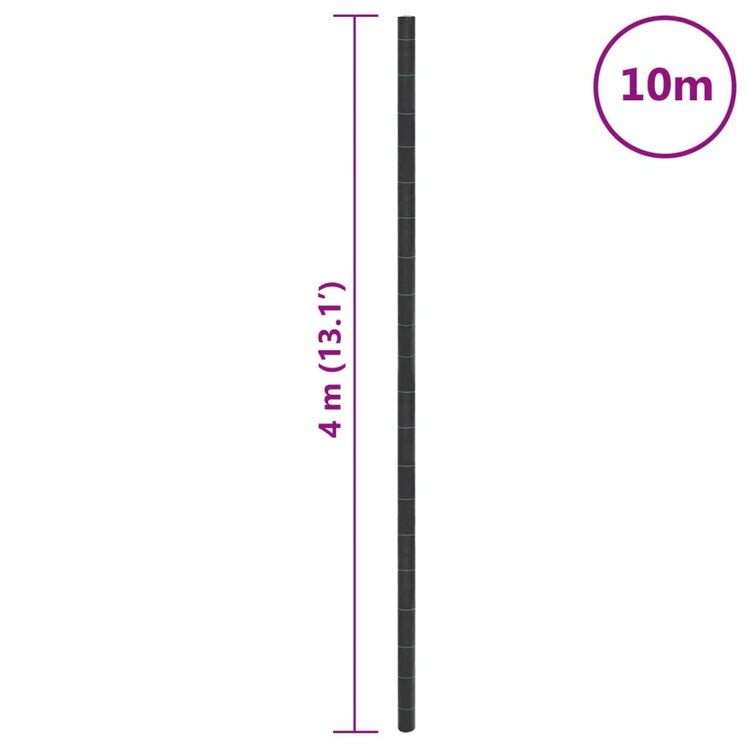 Membrana Antierbacce Nera 4x10 m in PP 4005165