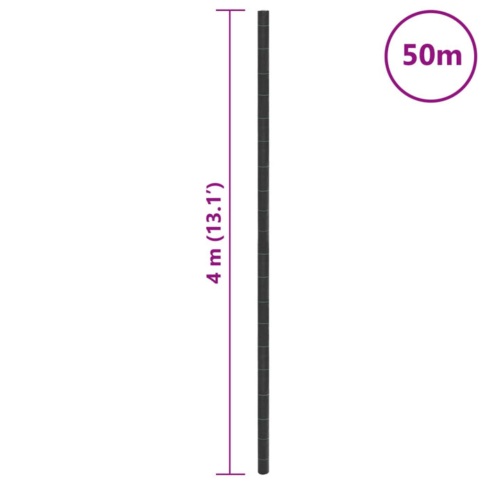 Membrana Antierbacce Nera 4x50 m in PP 4005167