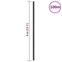 Membrana Antierbacce Nera 4x100 m in PP 4005168