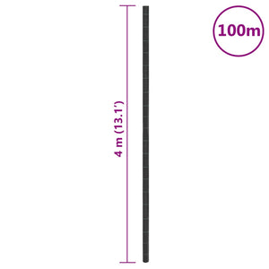 Membrana Antierbacce Nera 4x100 m in PP 4005168