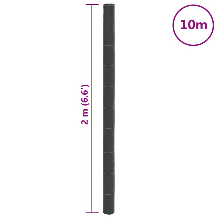 Membrana Antierbacce Nera 2x10 m in PP 4005228