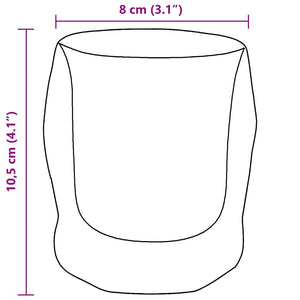 Bicchieri a Doppia Parete in Vetro 6 pz 250 ml 4005735