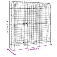 Traliccio Giardino per Rampicanti Telaio U 181x31x182,5 Acciaio 4009282