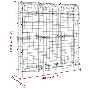 Traliccio Giardino per Rampicanti Telaio U 181x31x182,5 Acciaio 4009282