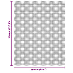 Tappeto da Campeggio Grigio Chiaro 4x2,5 m 4008485