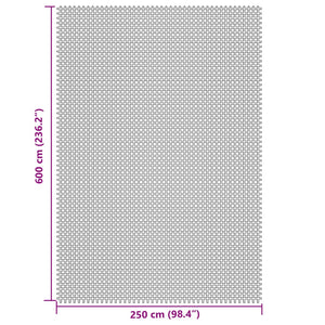 Tappeto da Tenda Grigio Chiaro 6x2,5 m 4008489