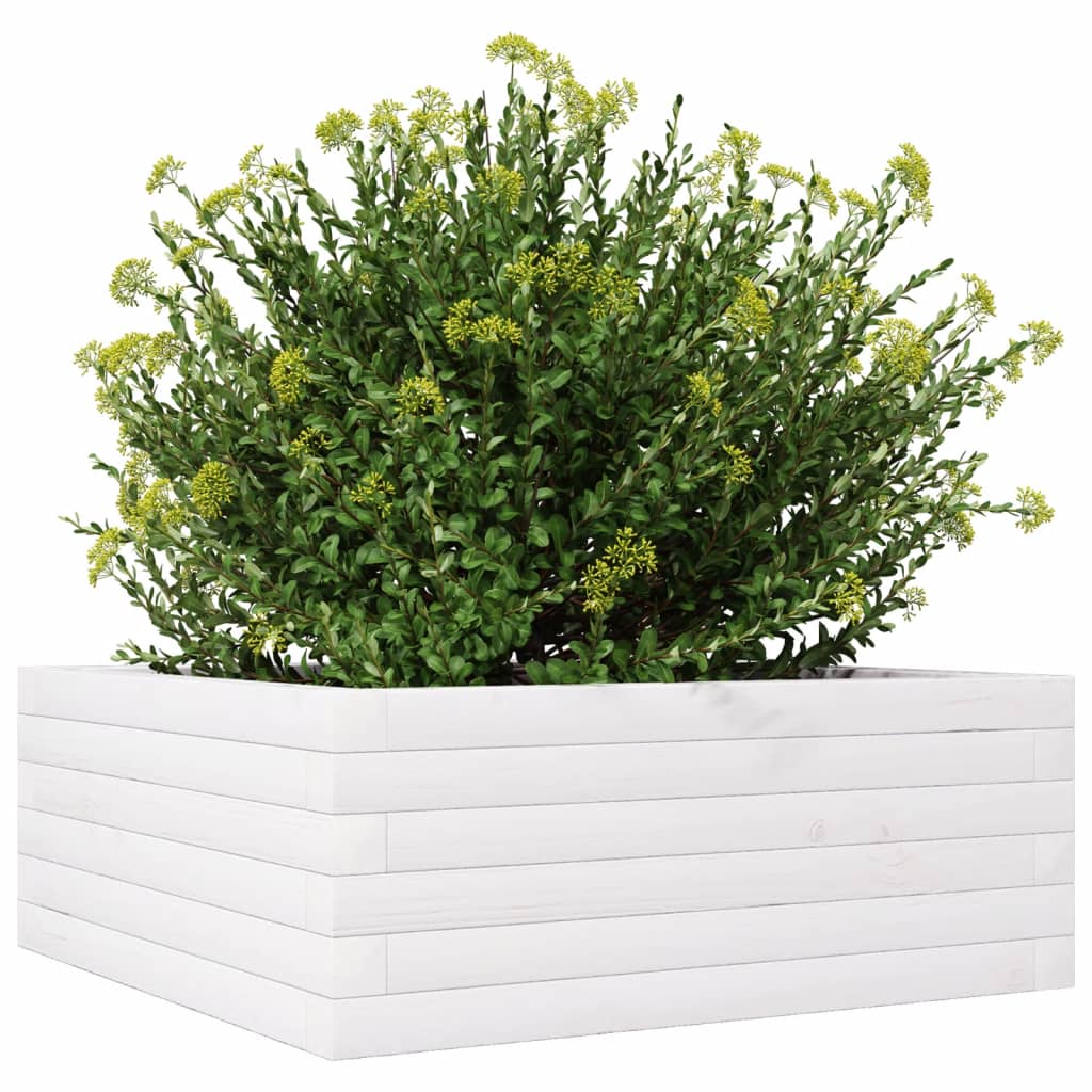 Fioriera da Giardino Bianca 60x60x23 cm Legno Massello di Pino 847189