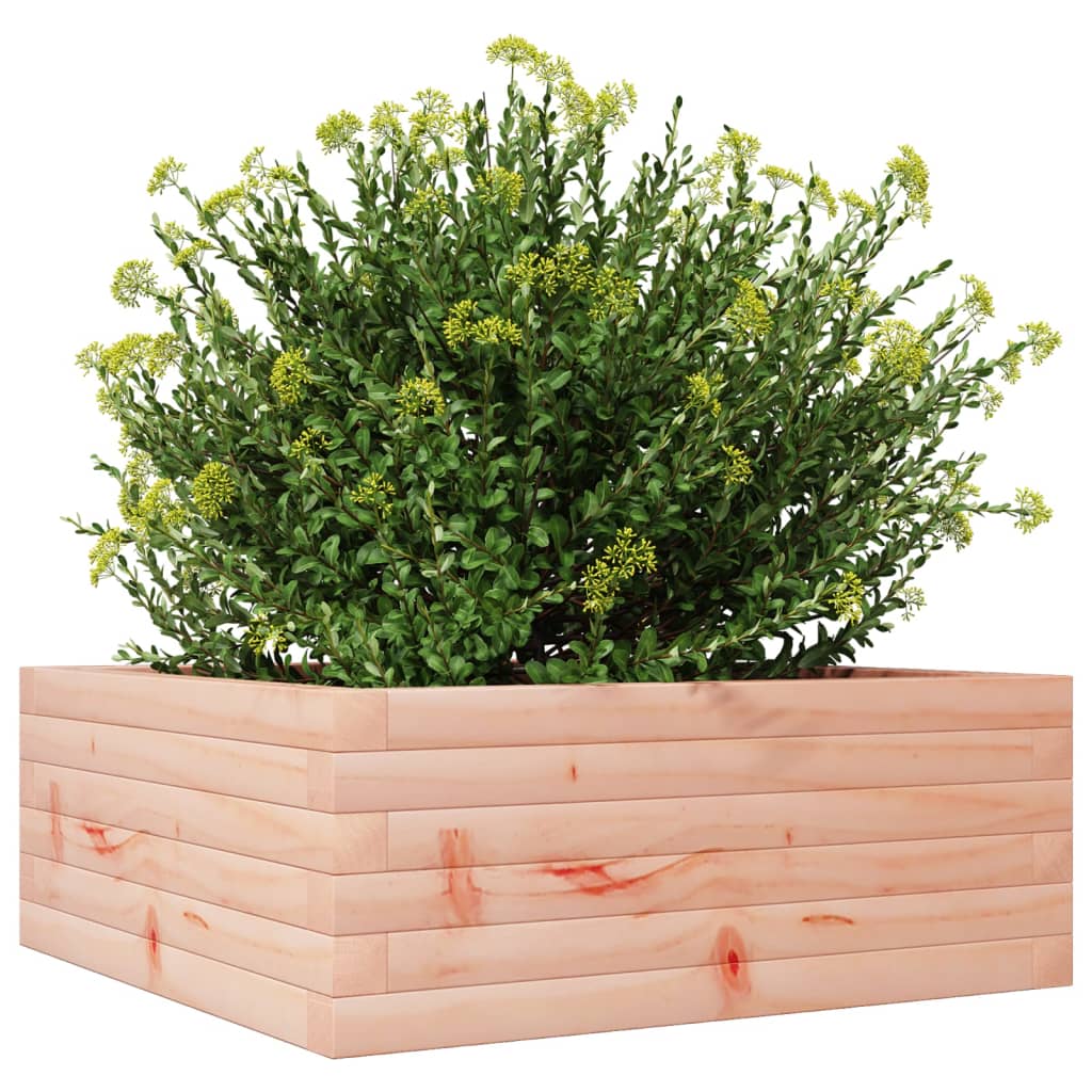 Fioriera da Giardino 60x60x23 cm in Legno Massello di Douglas 847191