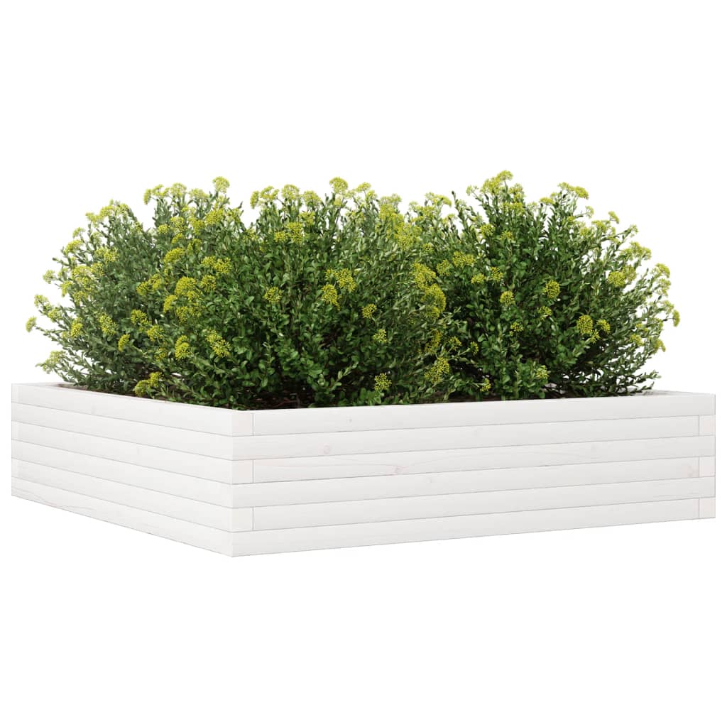 Fioriera da Giardino Bianca 100x100x23 cm Legno Massello Pino 847209