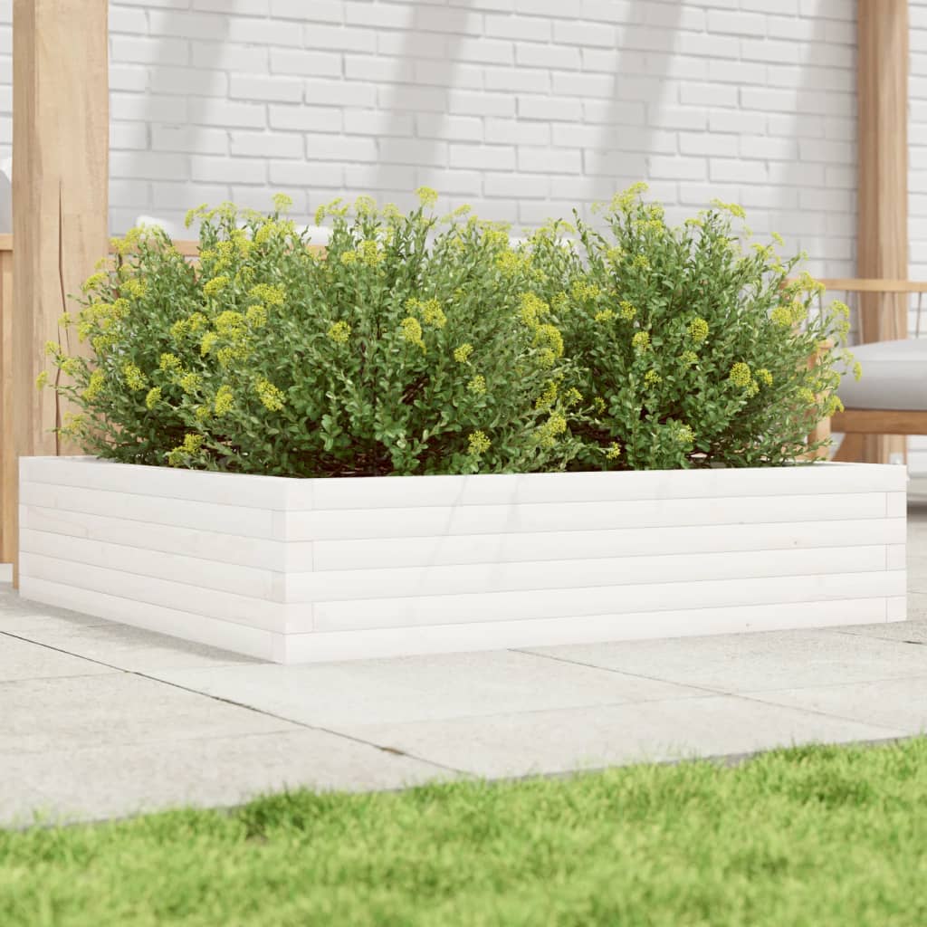 Fioriera da Giardino Bianca 100x100x23 cm Legno Massello Pino 847209