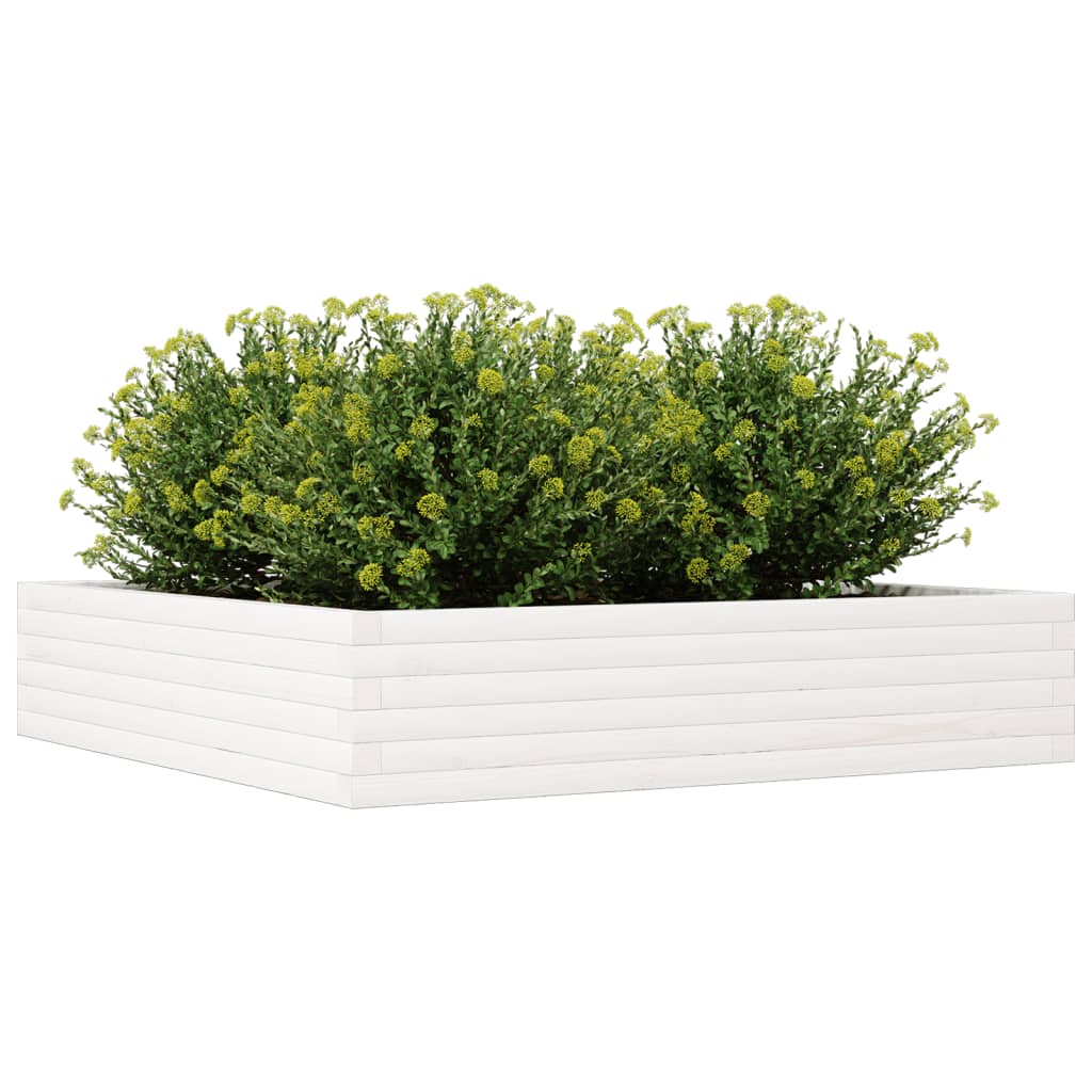 Fioriera da Giardino Bianca 110x110x23cm Legno Massello di Pino 847214