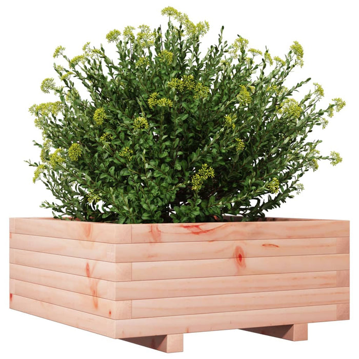 Fioriera da Giardino 60x60x26,5 cm in Legno Massello di Douglas 847301