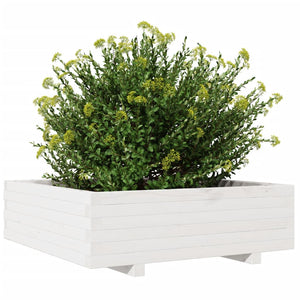 Fioriera da Giardino Bianca 80x80x26,5cm Legno Massello di Pino 847309