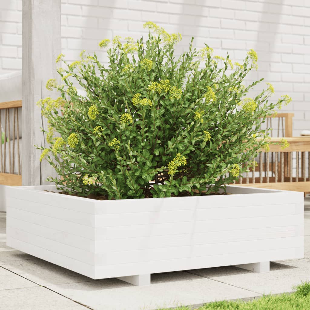 Fioriera da Giardino Bianca 80x80x26,5cm Legno Massello di Pino 847309