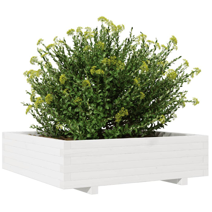 Fioriera da Giardino Bianca 90x90x26,5cm Legno Massello di Pino 847314