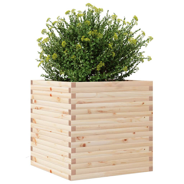 Fioriera da Giardino 70x70x68,5 cm in Legno Massello di Pino 3282474